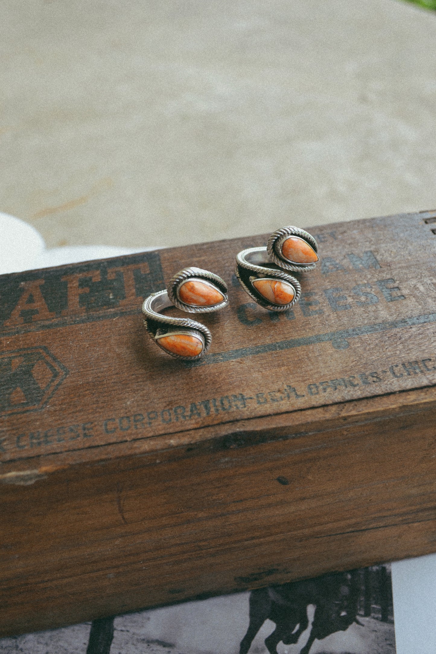 The Envoltura Adjustable Ring in Spiny