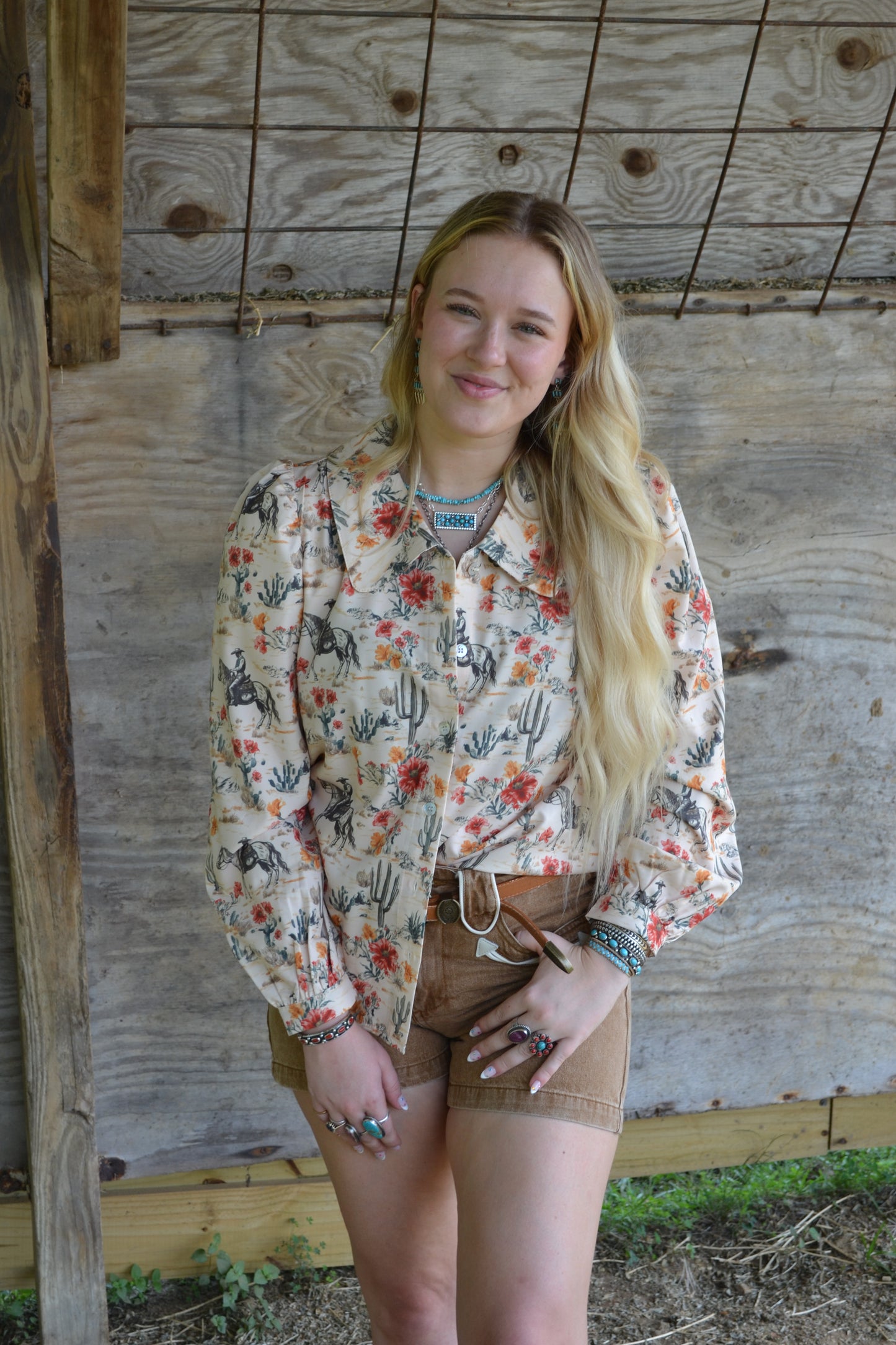 The Ferron Top