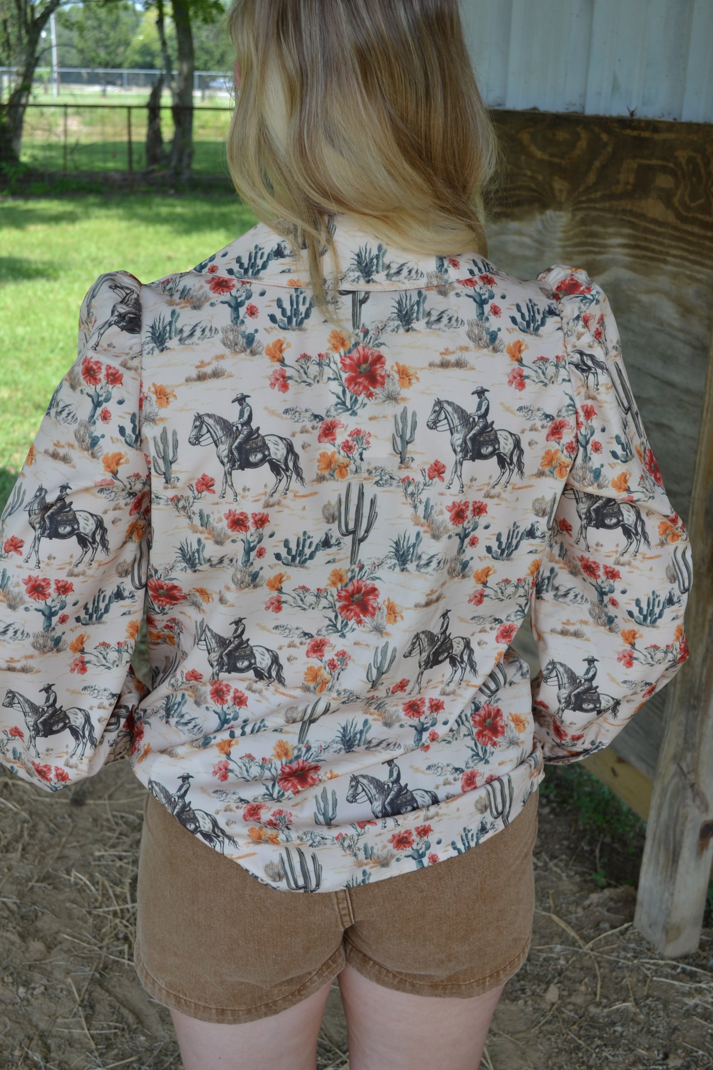 The Ferron Top