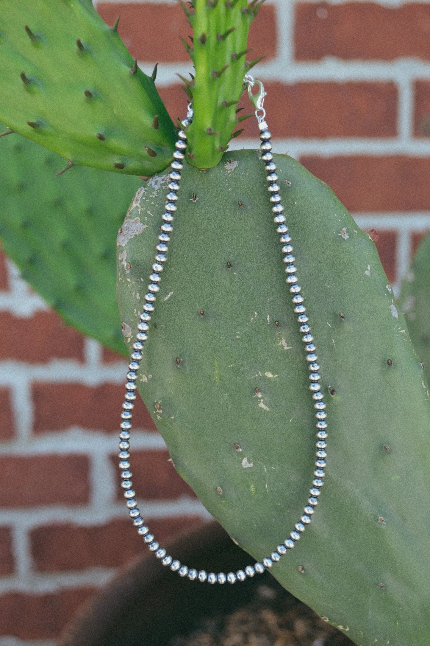 The Holt 4mm Choker