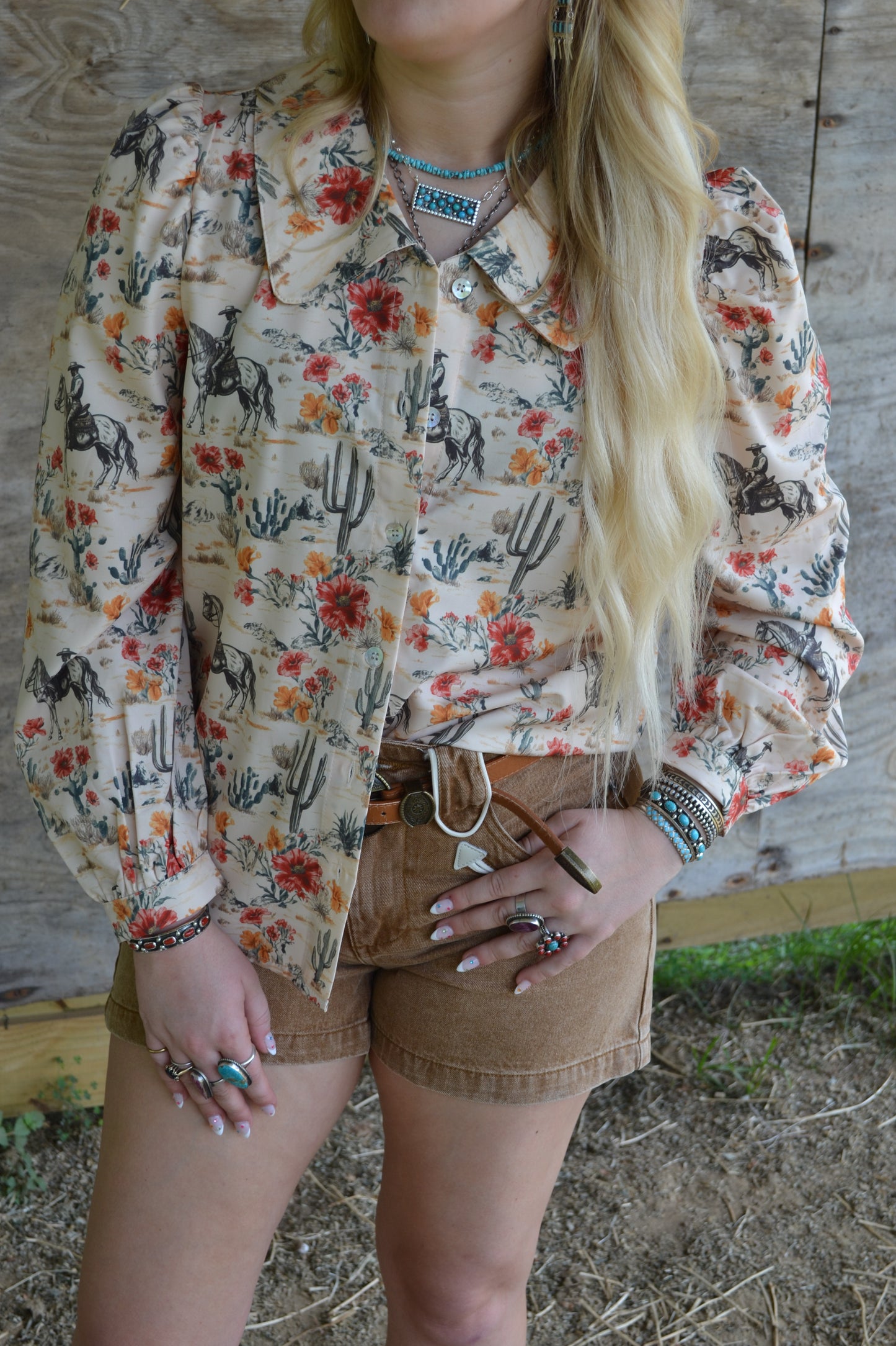 The Ferron Top