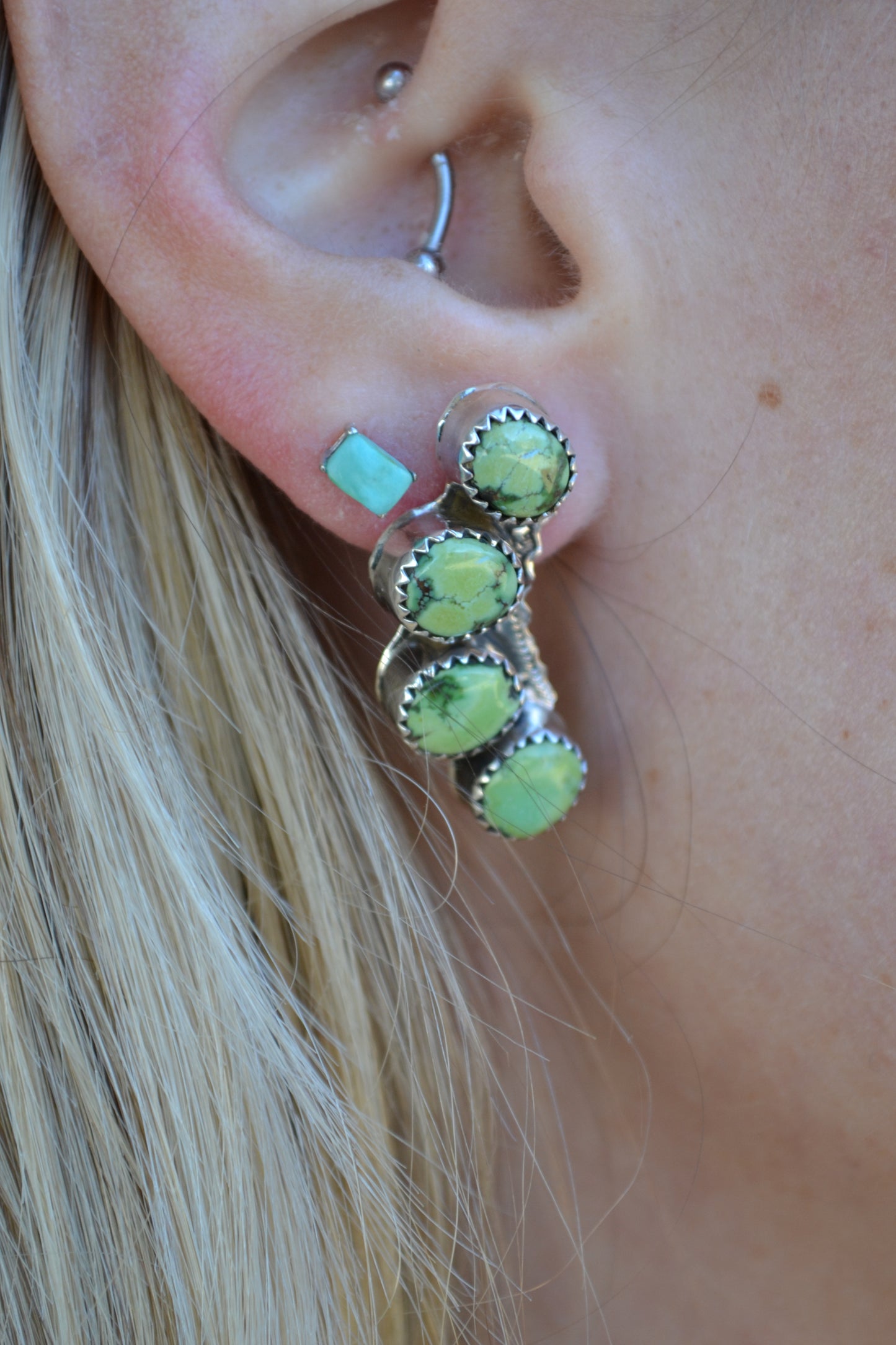 The Taylin Sonoran Earrings