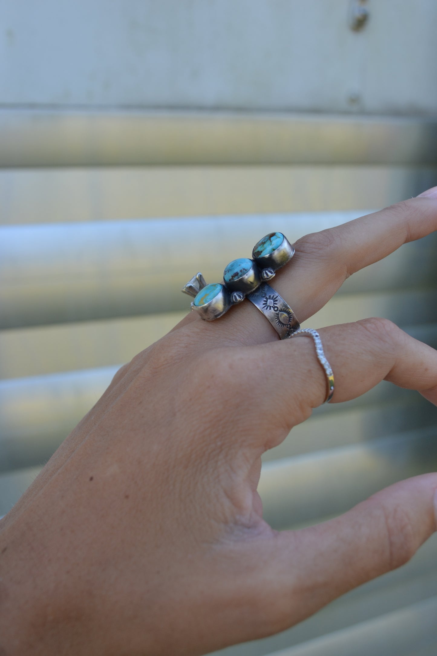 The Remy Rings
