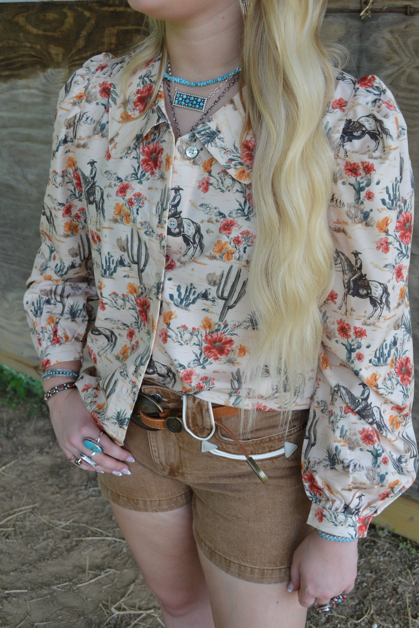 The Ferron Top