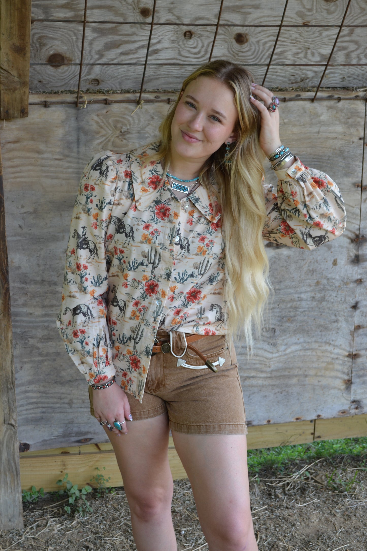 The Ferron Top