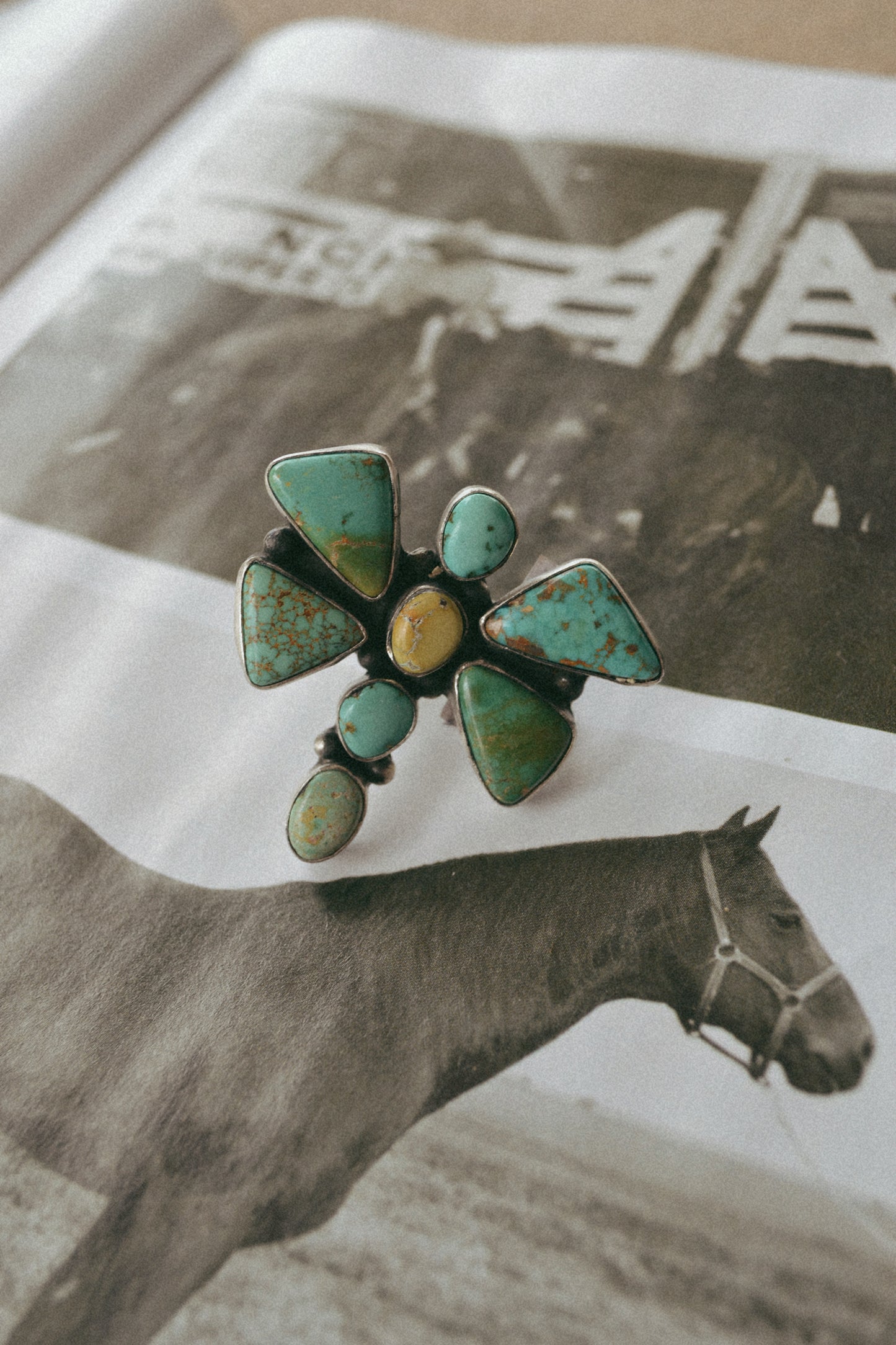 The Ledger Adjustable Ring