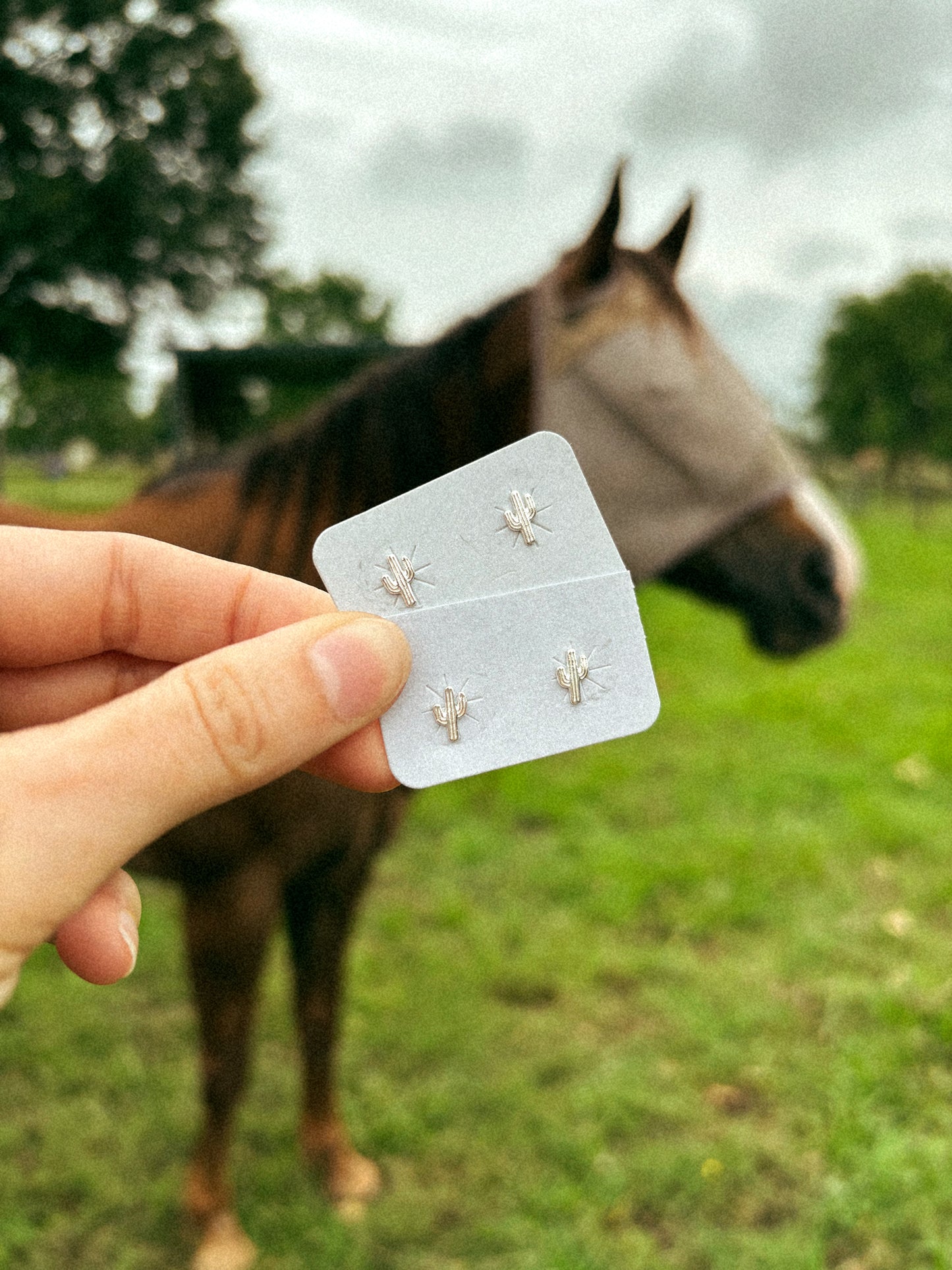 The Saguaro Sterling Studs