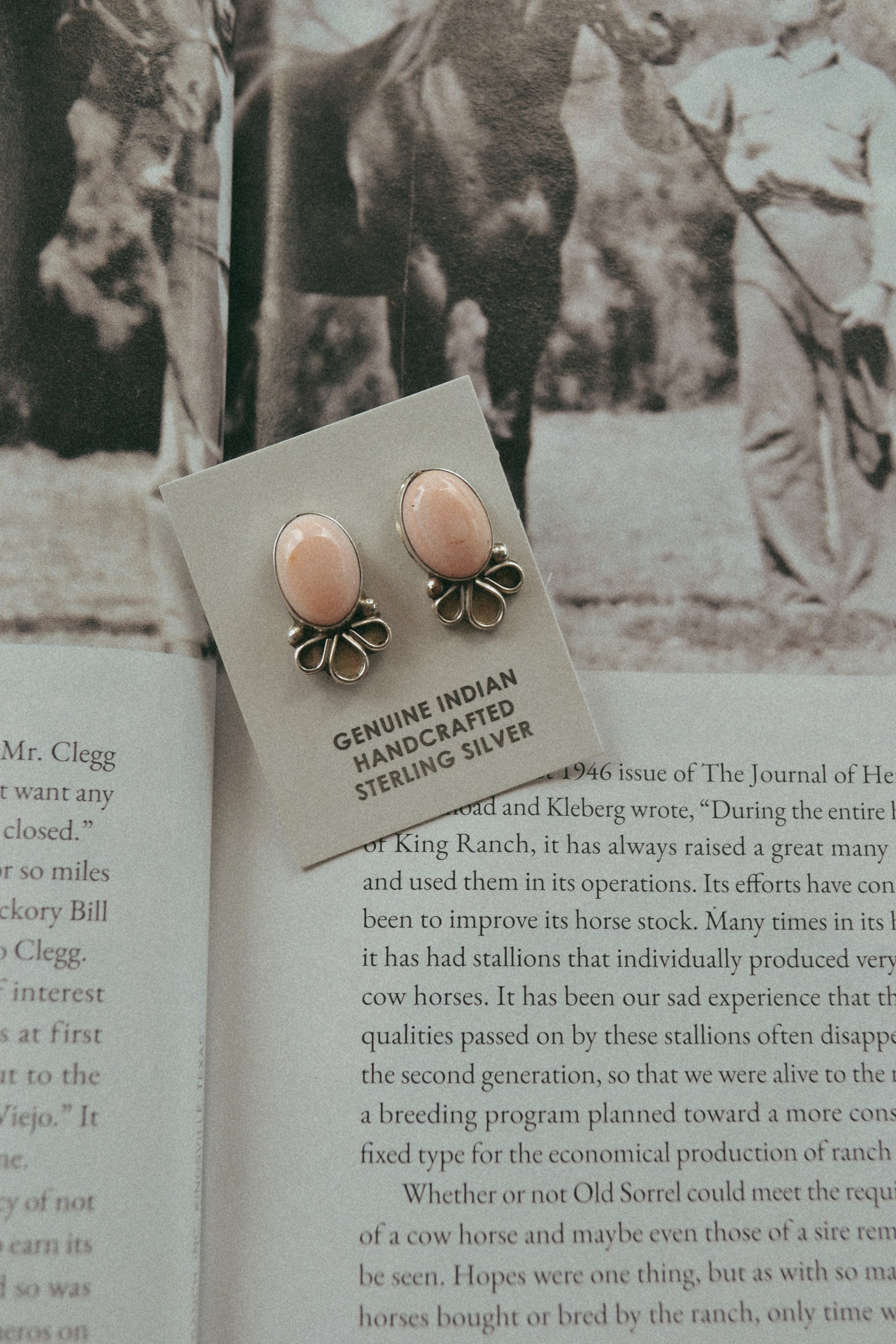 Pink conch native made stud earrings 