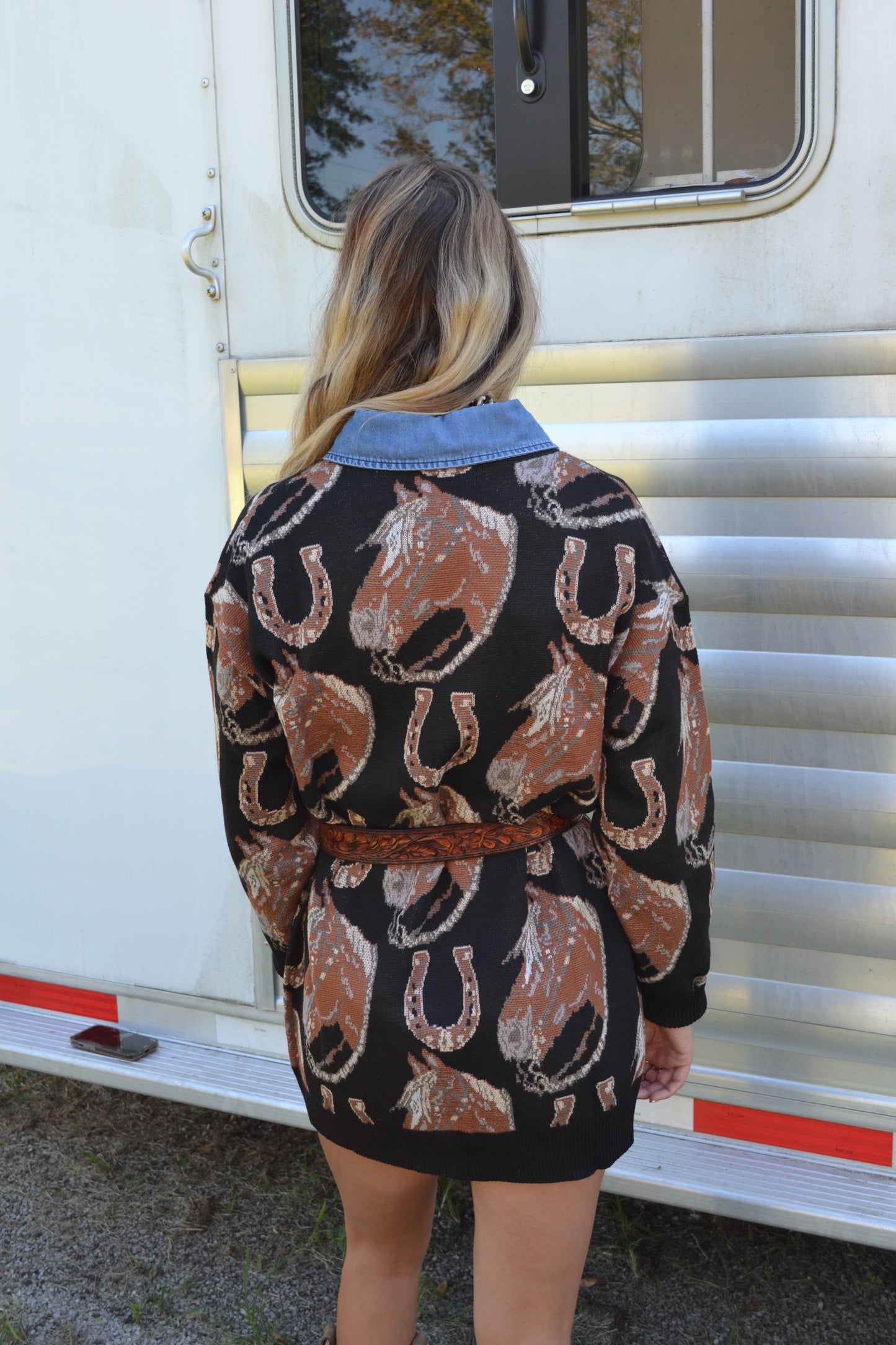 The Ruidoso Sweater Dress